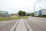 17.08.2009