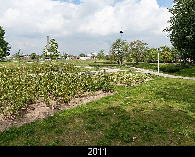 Slideshow Image 5